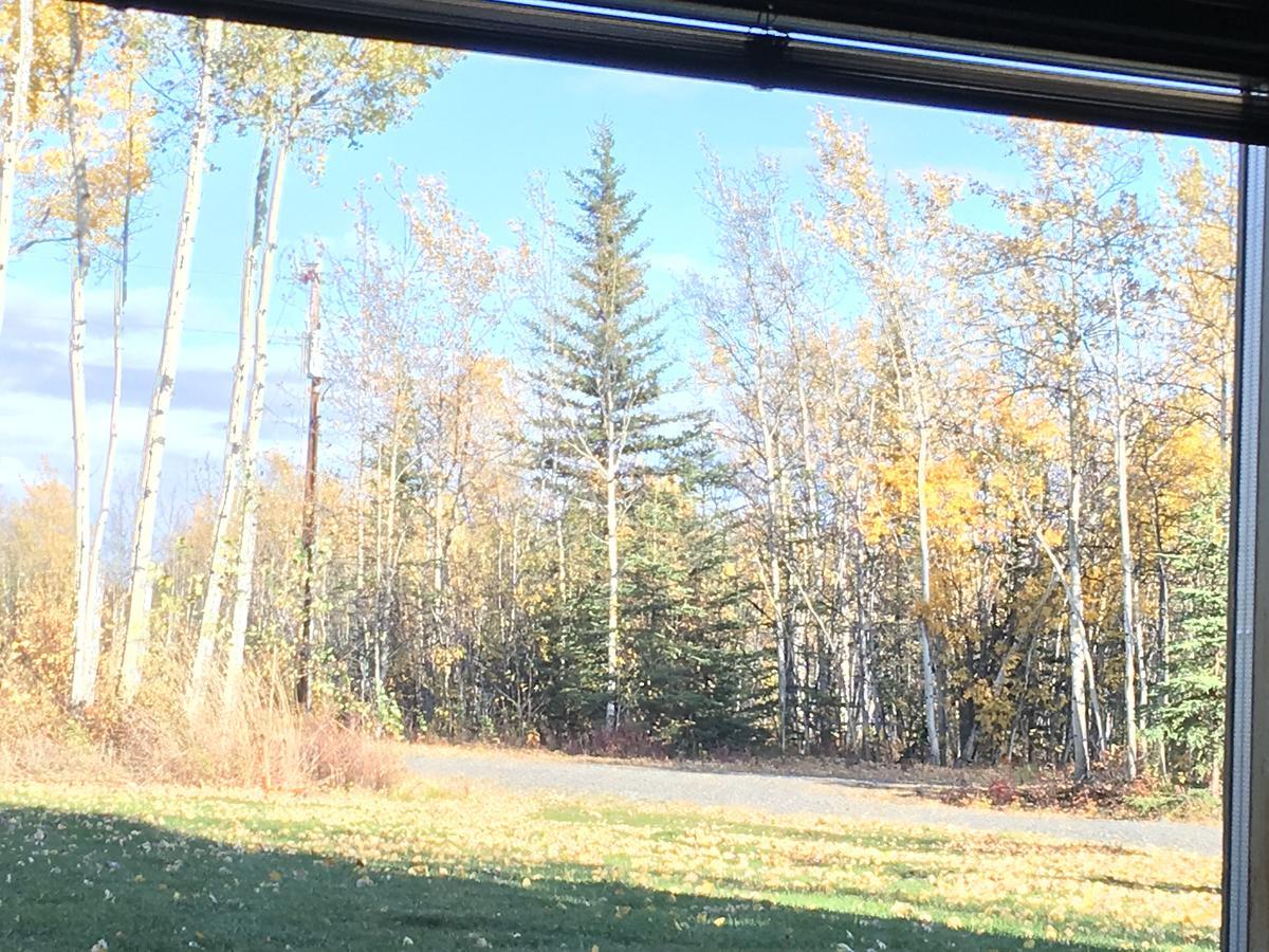 Sawing Logzz Cabin Copper Center Exterior foto